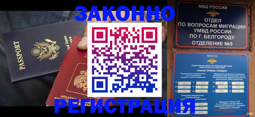 прописка законно в Ртищево